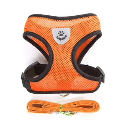 Dog Chest Harness with Traction Rope